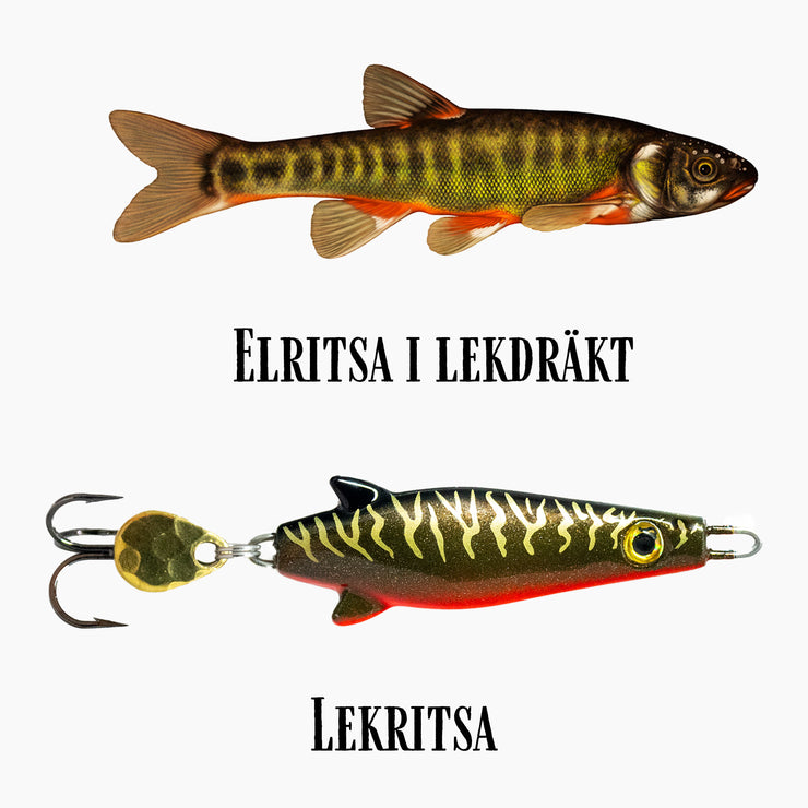 Lekritsa