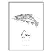 Poster Trout