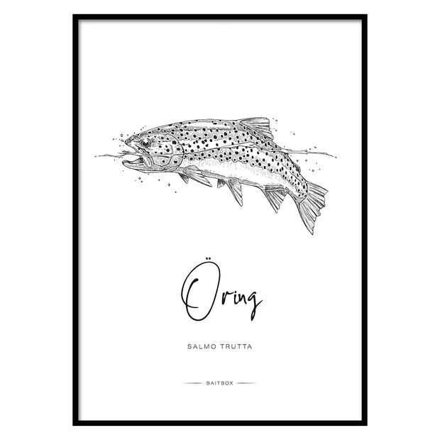 Poster Trout